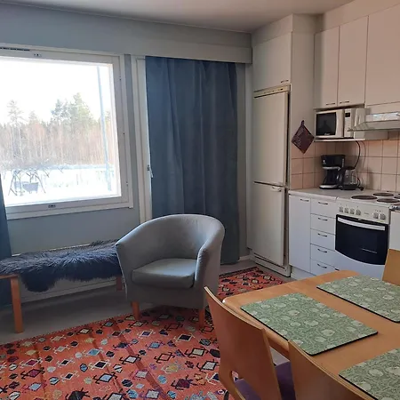 Viihtyisaeae Majoittumista Saimaan Saaristossa Appartement *